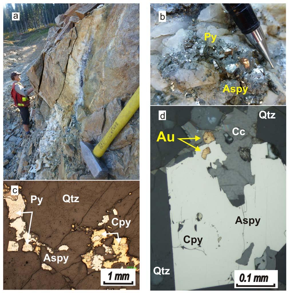Fig. 6. Quartz vein mineralization.
