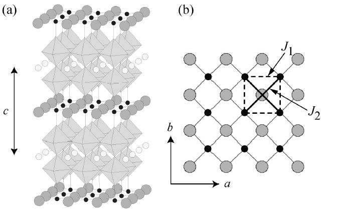 Ring exchange 1D zigzag lattice edge-sharing chain cuprates LiCuVO 4, LiCu 2 O 2, Rb 2 Cu 2 Mo 3 O