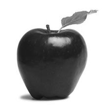 Apple-shaped C.