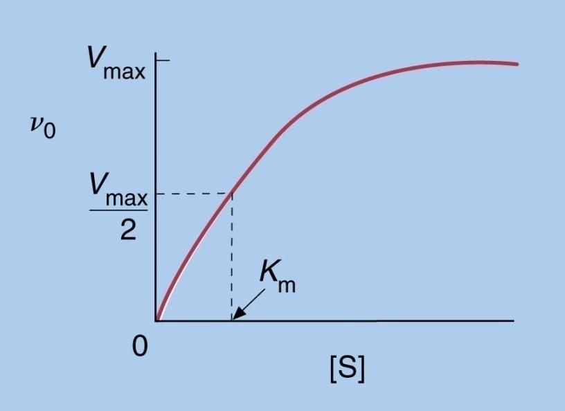 Section 6.3: Enzyme Kinetics V max - maximum velocity, E is saturated ν 0 = V max [S] [S] + K m Figure 6.