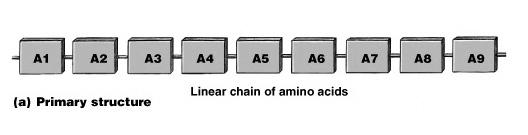 Structure a long chain