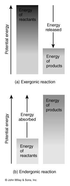 Kinetic energy is the energy associated with matter in motion. Temperature is an indirect measure of molecular motion. Potential energy is energy stored by matter due to its position.