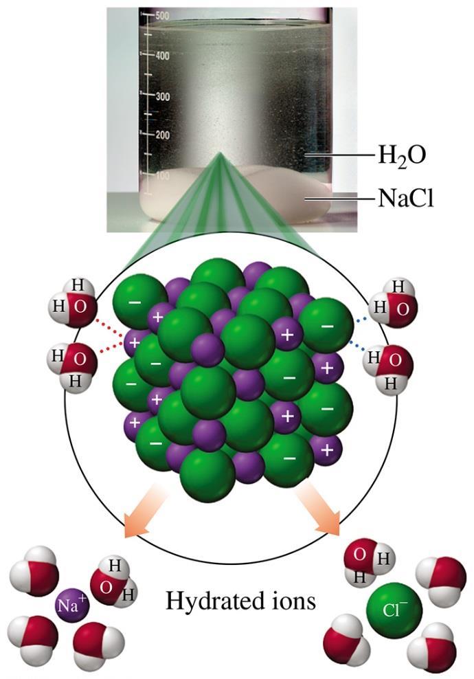 Hydration: how a substance Na + and Cl - ions o On the surface of a NaCl crystal are attracted to polar water molecules.