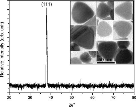 1714 PAL ET AL. APPL. ENVIRON. MICROBIOL. FIG. 2. EFTEM images of silver nanoparticles. (A) Spherical nanoparticles synthesized by citrate reduction. (B) Silver nanoparticles of different shapes.