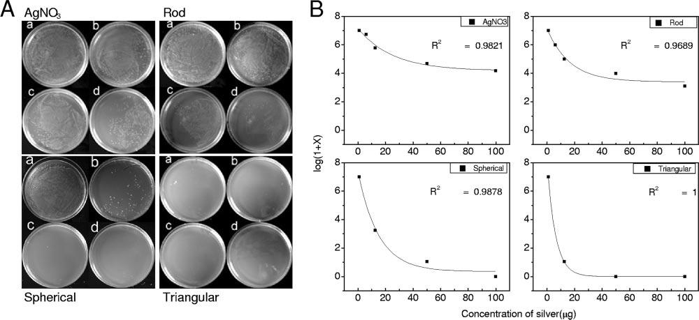 VOL. 73, 2007 SHAPE-DEPENDENT EFFECT OF SILVER NANOPARTICLES 1715 FIG. 4. (A) Petri dishes initially supplemented with 10 7 CFU/ml of E.