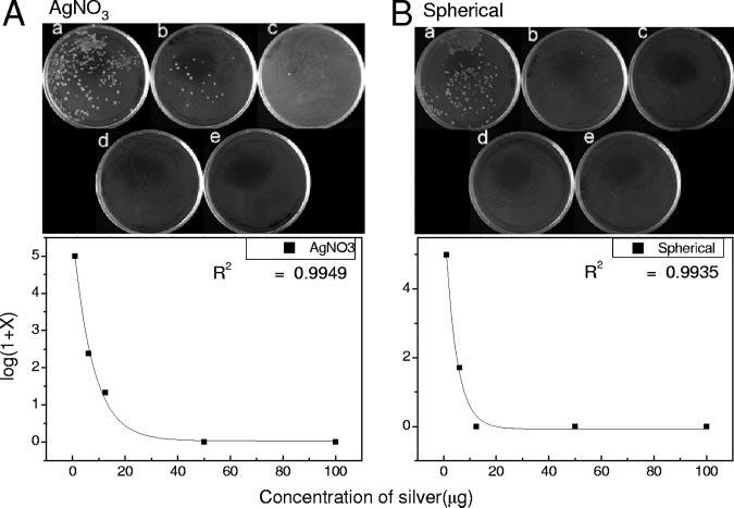 coli colonies, expressed as log(1 number of colonies grown on plates under the conditions used for panel A), as a function of the amount of silver nanoparticles in agar plates.