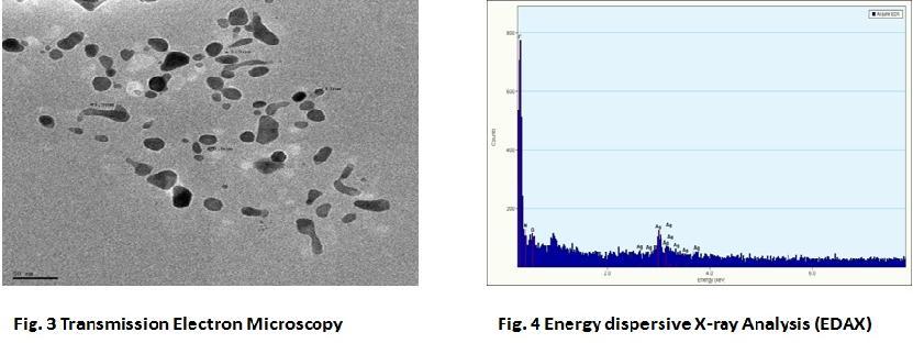 film of the Ag-NPs. The particle size histograms of silver particle range in size from 25 to 30 nm and possess an average size of 30 nm.