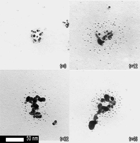Surface Enhanced Raman Spectroscopy Using Silver Nanoparticles 45 Fig. 4. TEM images of 11 nm Ag particles as a function of time (h). Formation of aggregates is clearly visible.