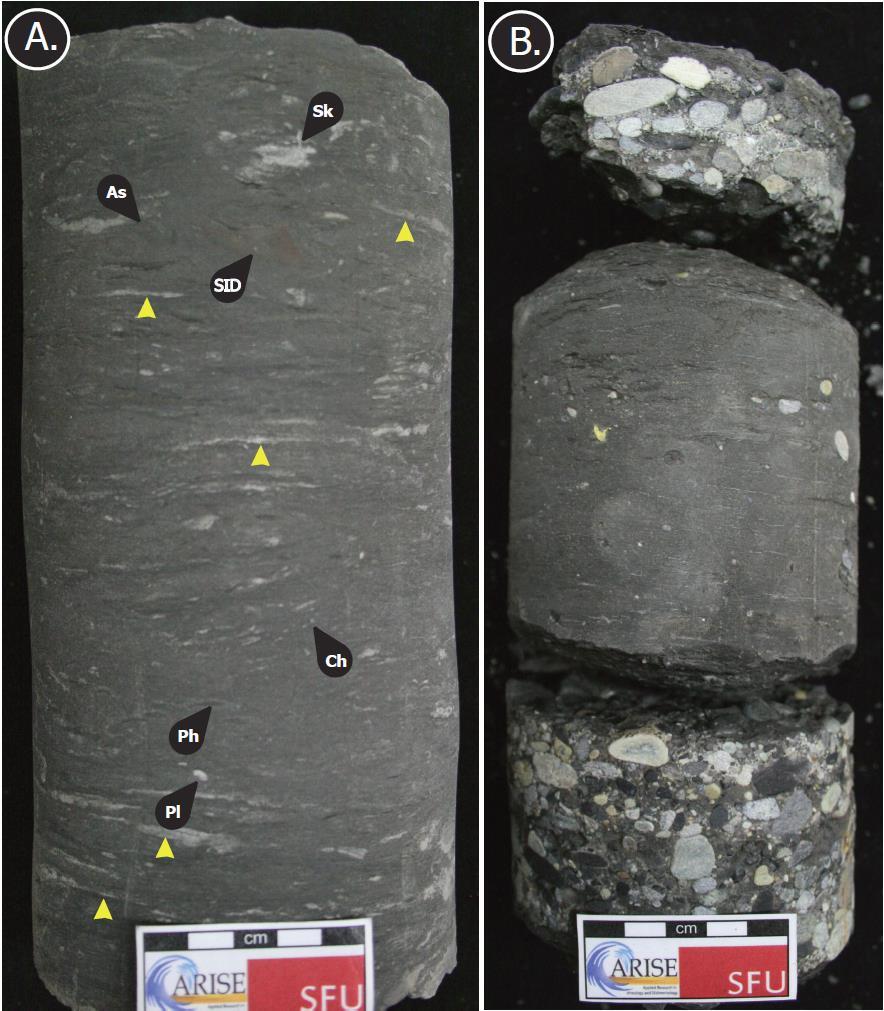 Figure 2.1: Examples of F1 Core photographs of Facies 1: Silty mudstone to shale with very fine-grained sandstone laminae.