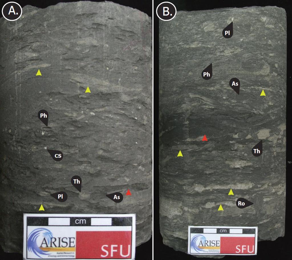 Figure 2.2: Examples of F2a Core photographs of Facies 2a: bioturbated sandy mudstone.