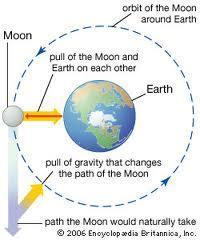 Why does the Moon Orbit the Earth?