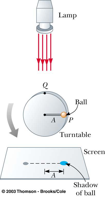 Simple Harmonic Motion and Uniform Circular Motion A ball is attached to the rim of a turntable of radius A The focus is on the shadow