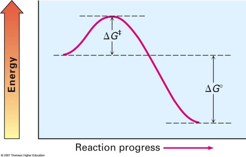 reaction has a planar arrangement