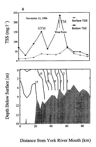 Fresh water and sediment transport Lin and Kuo (2001) Persistent ETM - West