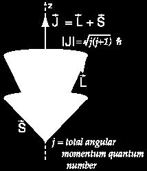 Internal magnetic field prduces trque which results in precessin f L ˆ and S ˆ abut their sum, the ttal angular mmentum: