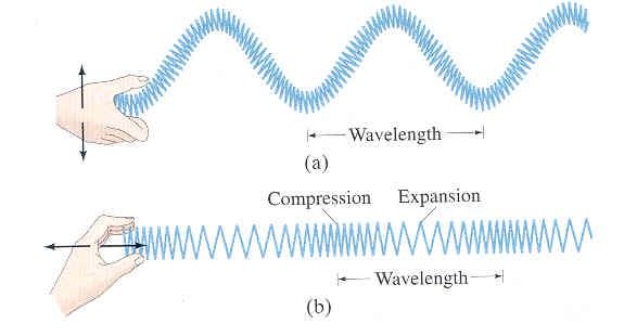 direction as motion of wave -Sound (fluids ) -Ocean currents - top vs bottom Traveling Waves - they