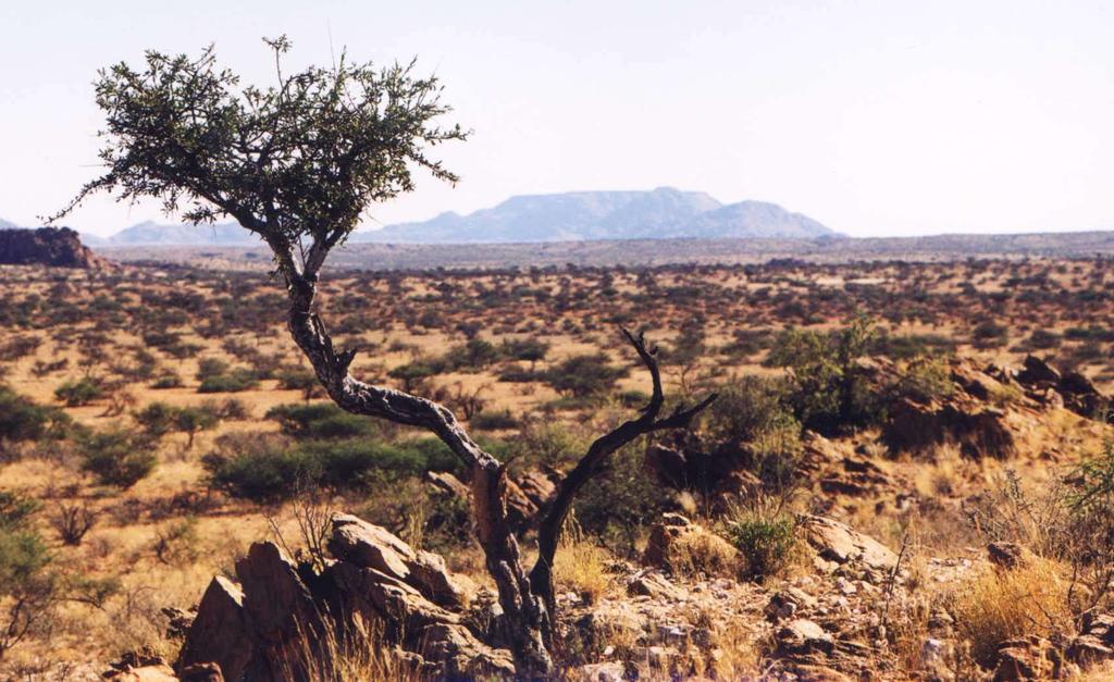 The site Farm Goellschau, Khomas Highland, Namibia
