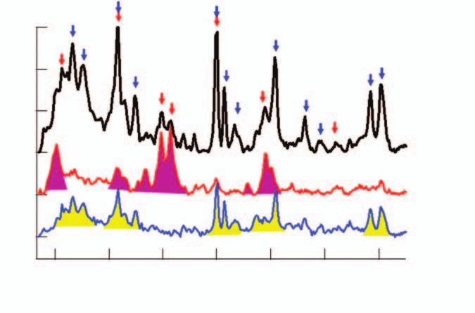 14 Raman Technology for Today s Spectroscopists June 2006 Intensity (AU) Mixture Ibuprofen Warfarin 400 600 800 1000 1200 1400 1600 Figure 5: SERS spectra of Ibuprofen (red line) and Warfarin (blue