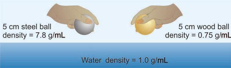 CHAPTER 12: THE PHYSICAL PROPERTIES OF MATTER Density and buoyancy Comparing densities Two balls with the same volume but different densities If you know an object s density, you can immediately