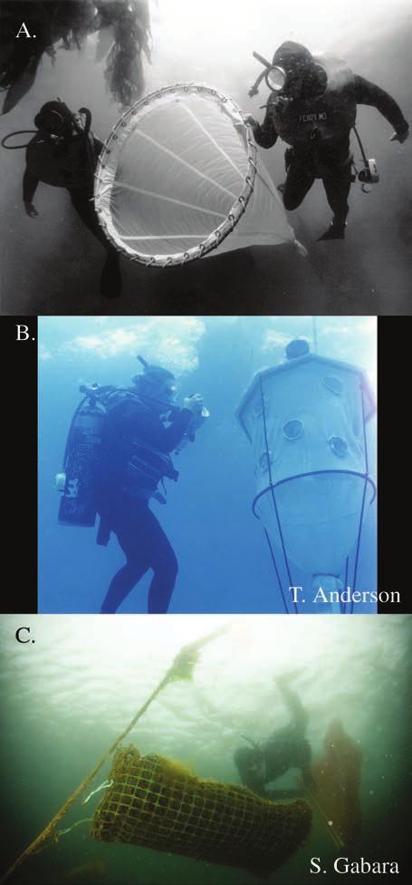 number 39 161 FIGURE 2. Devices for collecting larvae using scuba. (A) Plankton nets, (B) light traps, and (C) SMURFs (see text).