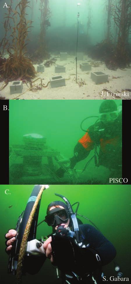 (A) Swell gauges, (B) current meters, and (C) thermistors. (Photo credits given in each image.) thermistors; Figure 3a c) that resolve oceanographic processes (e.g., swell, currents, upwelling) at the spatial scale of individual reefs.