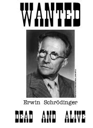 Schrödinger s Cat A thought experiment proposed by