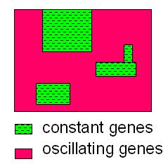 22 Analysis of Gene Expression Data c Tel Aviv Univ. Figure a Figure b Figure 9.16: Figure a: A 2-dimensional lattice view of a generic network, i.e., every cell in the lattice represents a gene.