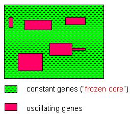 Furthermore, the oscillating genes form a giant component, instead of being scattered all over the lattice; Figure b: A 2-dimensional lattice view of a generic network with low in-degree.