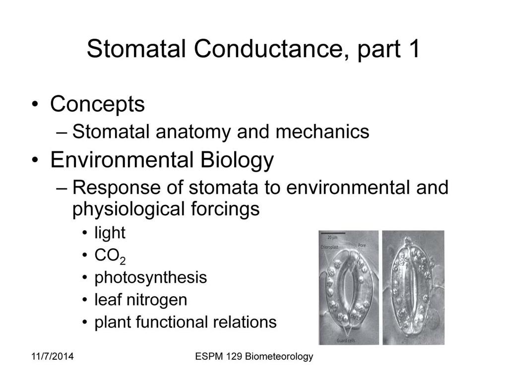 The stomata are the biological pores through which trace gases pass between vegetation and the