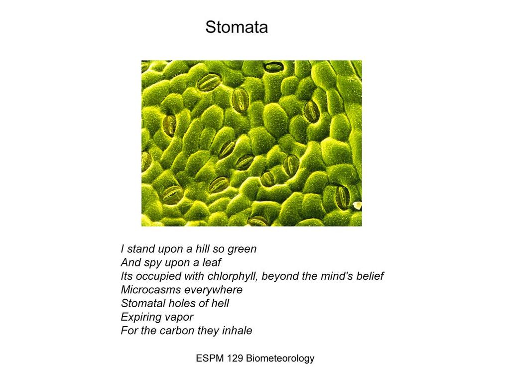 Gotta mix some arts with the sciences. Here is a poem I wrote for a scaling article, after getting dissatisfied with so many articles sounding so similar. http://images.fineartamerica.