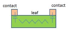 Figure S14. Impedance spectroscopy on a bare leaf.