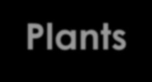 Plants SC.912.L.14.