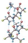 hydrophobes to interior of protein molecule => Release of H 2 0 HYDROGEN BONDS IN
