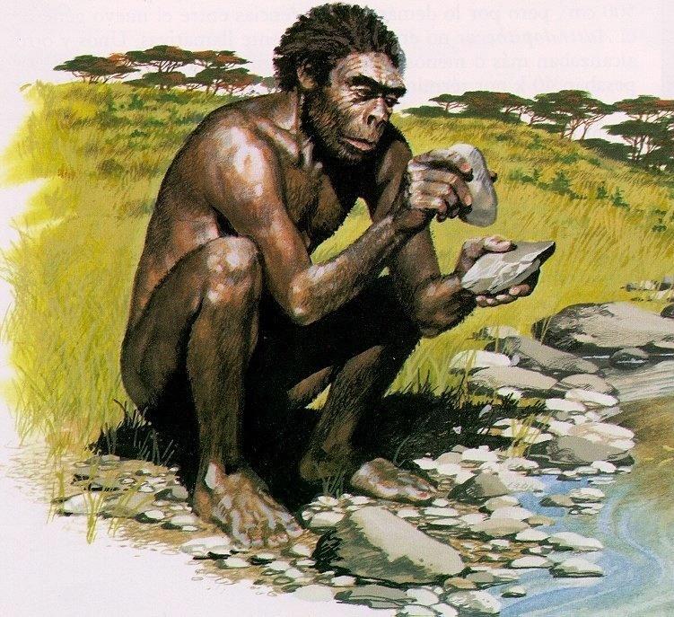 Modern Humans Homo habilis handy man earliest hominid to leave evidence of stone usage Larger brain size 1.