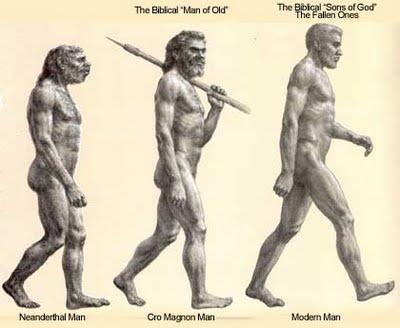 Modern Humans Cro-Magnon H.