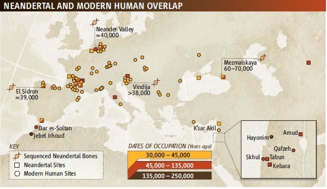 Paleogenomics: Neanderthal v modern humans 60-38Kya bones