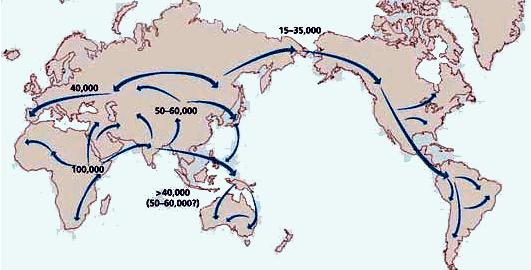 Migration of H.