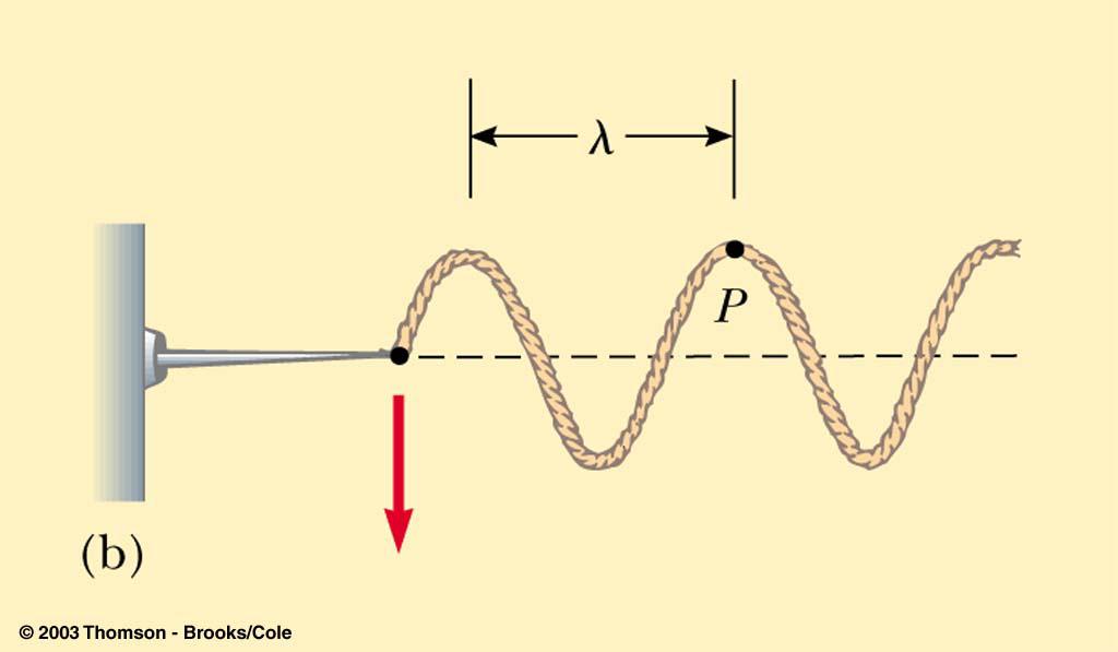 Wave 28 Snapshot of Longitudinal Wave ( y = A cos ' 2!