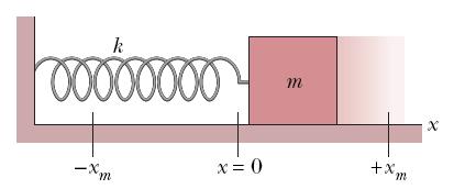 15.3 Force Law for SHM From Newton s nd law: F ma ( m ) x kx SHM is the motion executed by a system subject to a force that is proportional to the displacement of the system but opposite