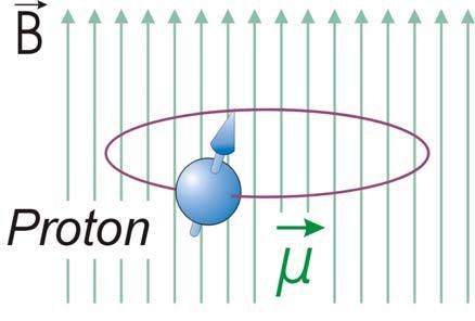 g-factor of the Proton and Antiproton Test of CPT invariance magnetic moment (g - ) e + e - CPT ψ : Reversal of space,