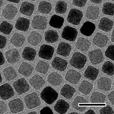 Controlling the shape of nanoparticles with