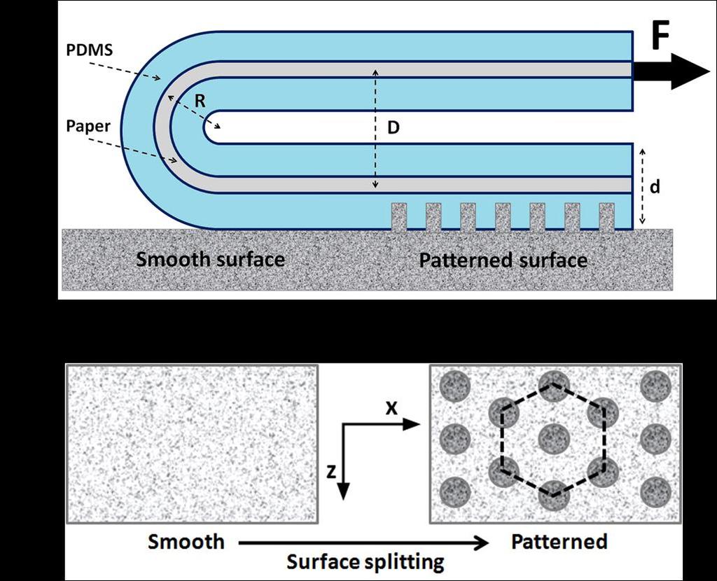 Figure 6-2: Schematic illustration of the conformal adhesion on smooth and micro-patterned surfaces and the geometry of 180 peeling.