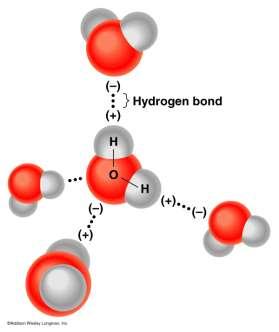 Type Description Example Diagram Hydrogen bond * *actually an