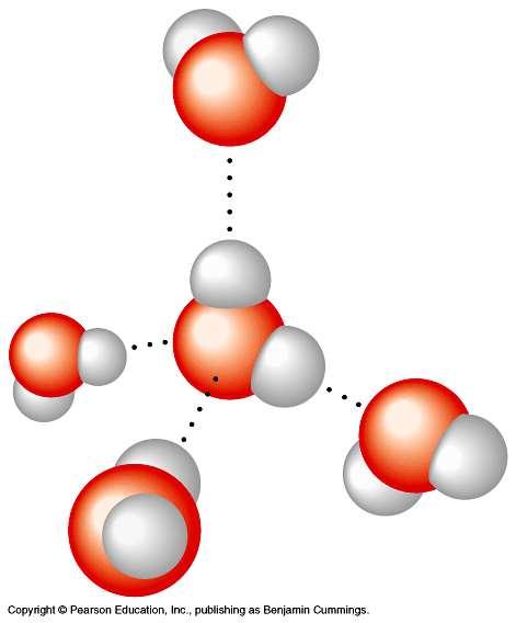 molecule are attracted to the partially atom of another The bonds are and quickly as the,