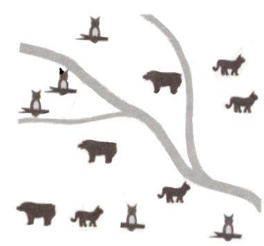 Perteikiant nominalias reikšmes, reikia vengti skirtingo dydžio simbolių naudojimo. Vargu ar bus įmanoma skaityti žemėlapį, pavaizduotą 11.3 a pav., kur simbolio dydžiu nusakoma gyvūno rūšis.