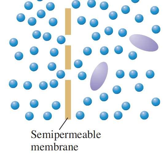 When two solutions of the same solvent are separated by a semipermeable membrane, solvent molecules
