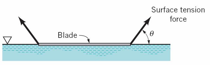 QUESTION 8 Surface tension forces can be strong enough to allow a double-edge steel razor blade to float on water, but a single-edge blade will sink.