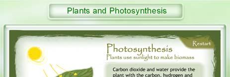 In the Beginning Photosynthesis CP Biology Research into photosynthesis began centuries ago with a simple question When a tiny seedling