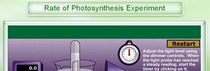 Factors Affecting Photosynthesis Temperature is also a factor