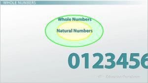 What are the Different Types of Numbers?